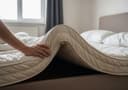 Bed Bugs