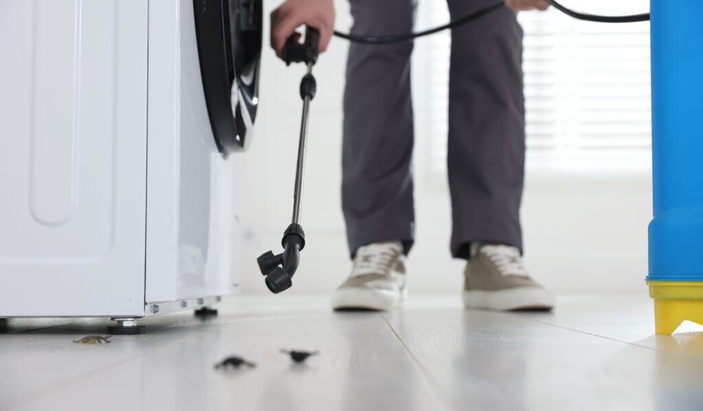 The Hidden Cost of DIY Pest Control: Why Professional Treatment Saves Money Long-Term